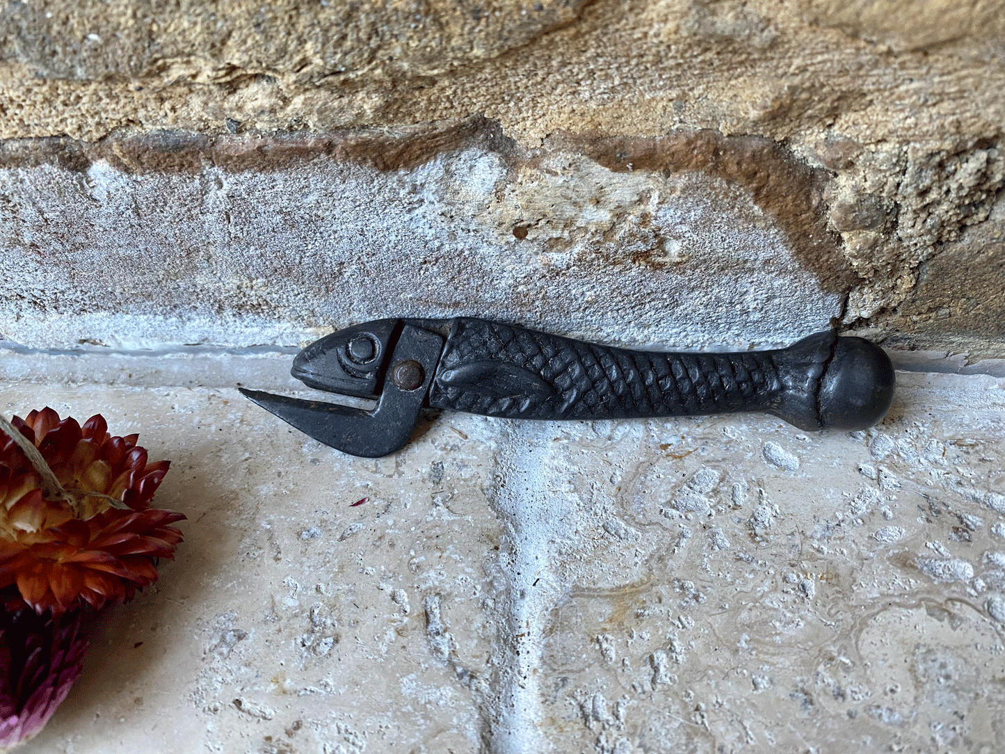 antique edwardian cast iron rare sardine figural shaped tin opener