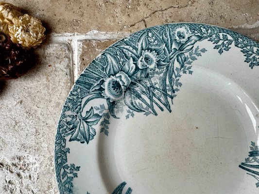 antique french st amand terre de fer lebacqz bouchart teal ironstone side plate narcisses