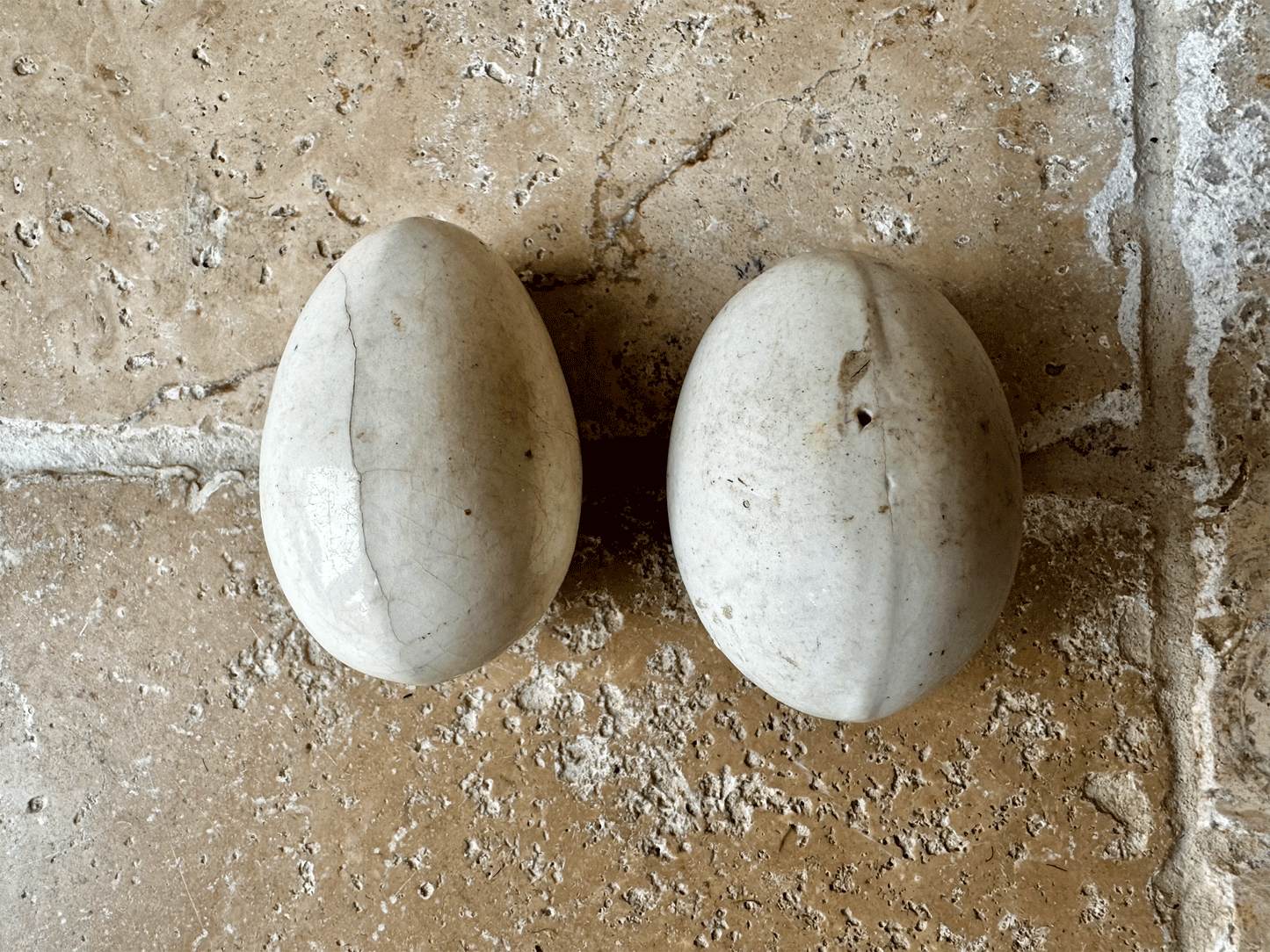 antique english white ironstone dummy broody vintage laying egg