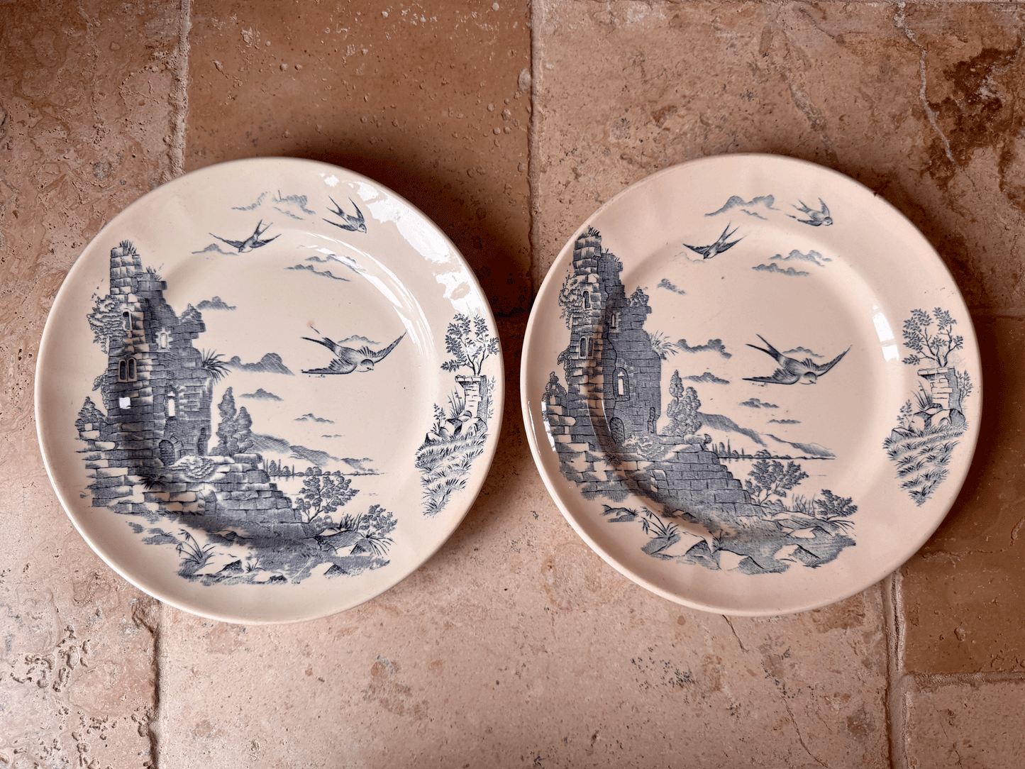 Antique French Blue Transferware Donjon Bird Plate