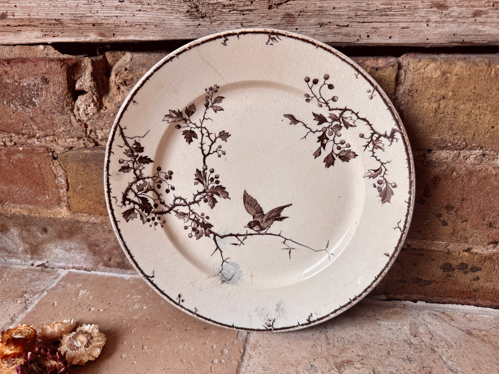 antique french ironstone terre de fer sepia transferware plate birds