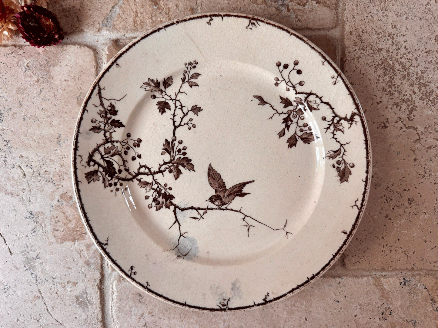 antique french ironstone terre de fer sepia transferware plate birds