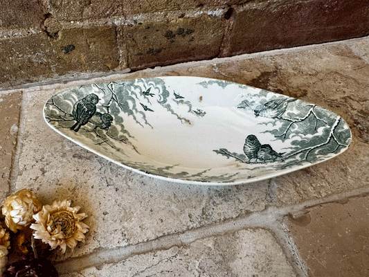 rare antique french sarreguemines neige green transferware terre de fer ironstone ravier plate dish