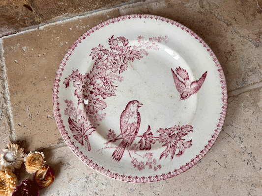 Pretty Pink Transferware Plate - Longwy Mesange