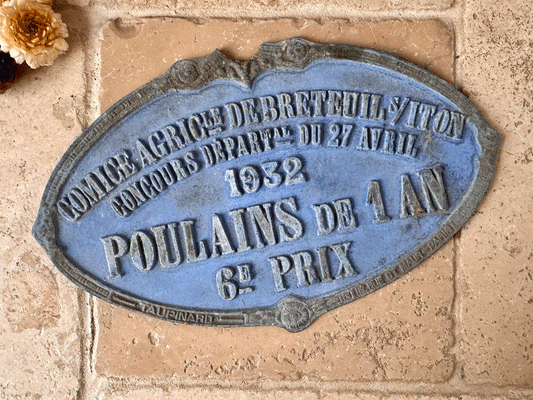 rare blue antique french cast iron rustic agricultural prize plaque foal horses