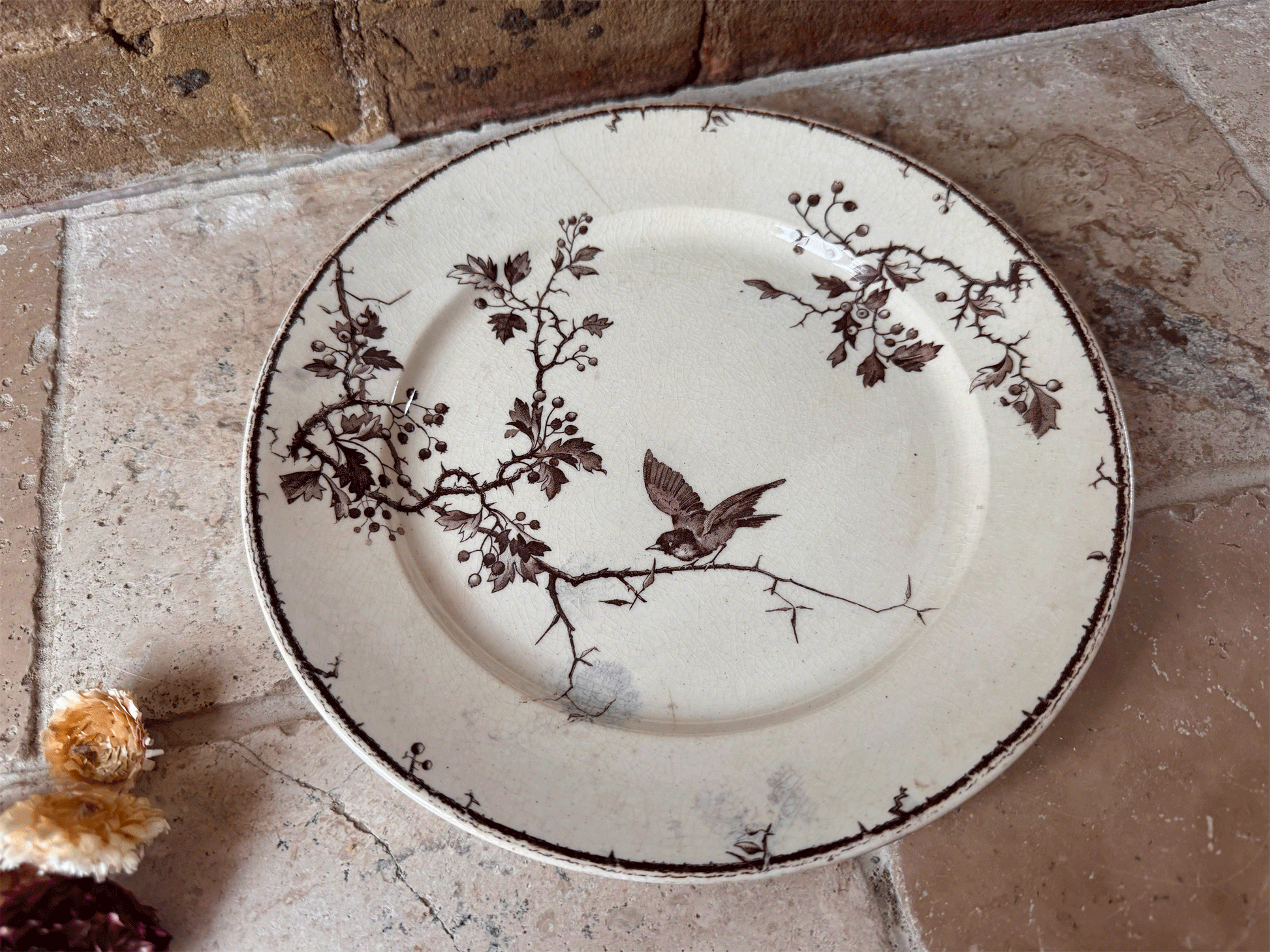 antique french ironstone terre de fer sepia transferware plate birds