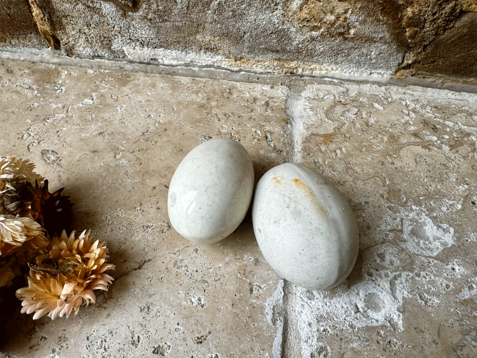 antique english white ironstone dummy broody vintage laying egg