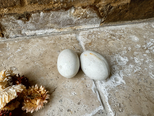 antique english white ironstone dummy broody vintage laying egg
