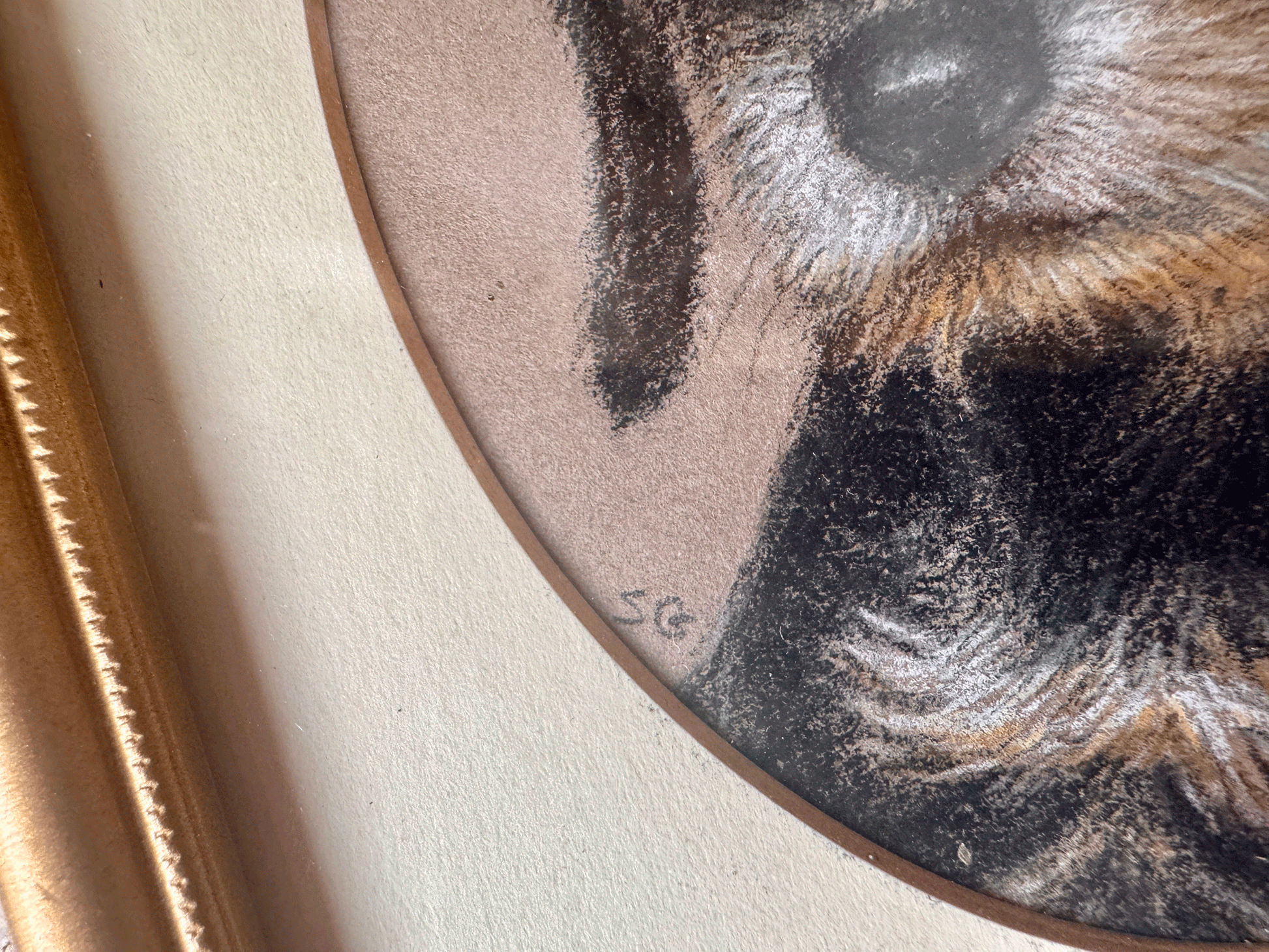 vintage english signed framed pastel drawing rough haired dachschund susan geere