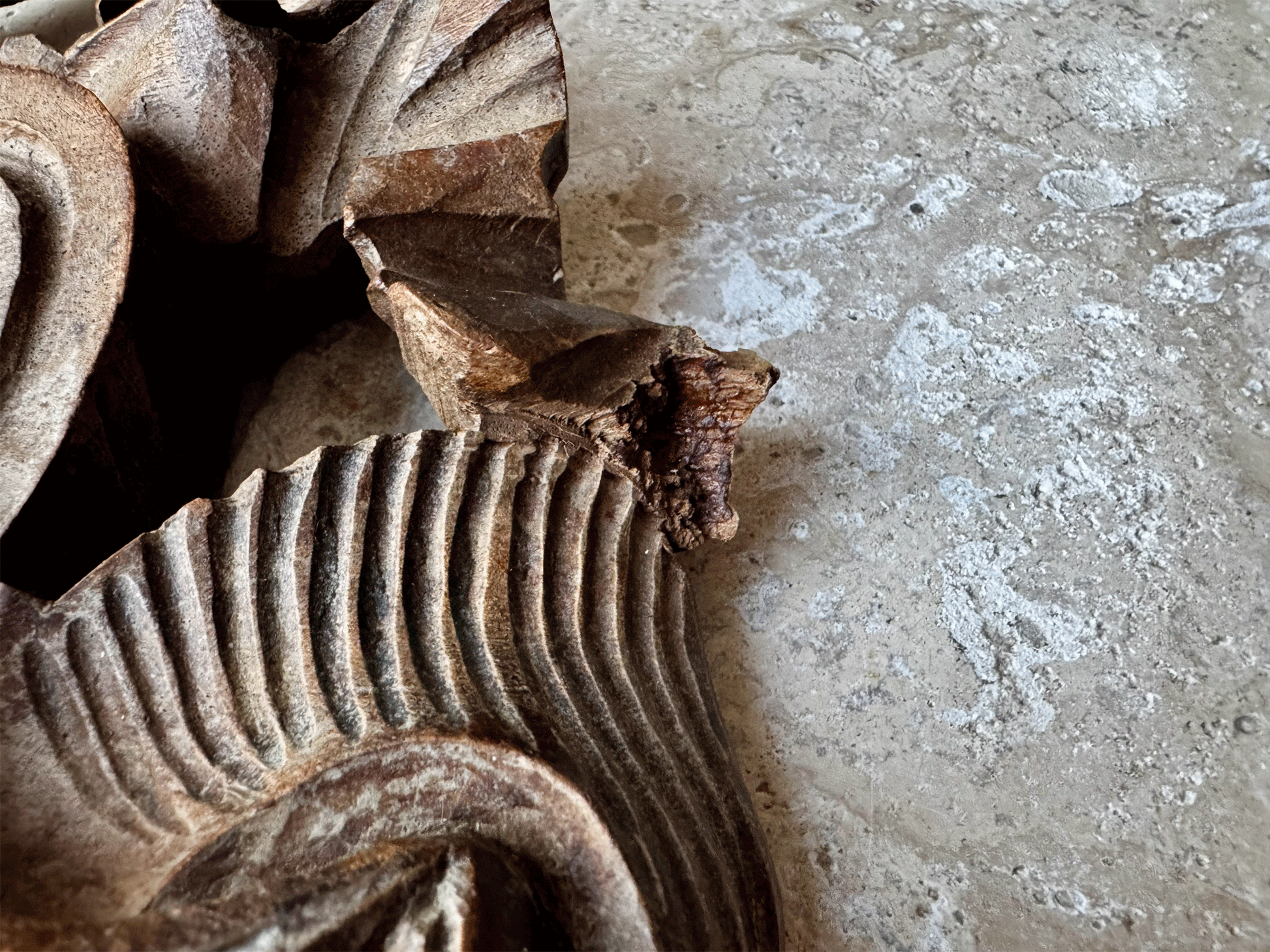 antique french 19th century 1800s deeply carved decorative wall panel pelmet