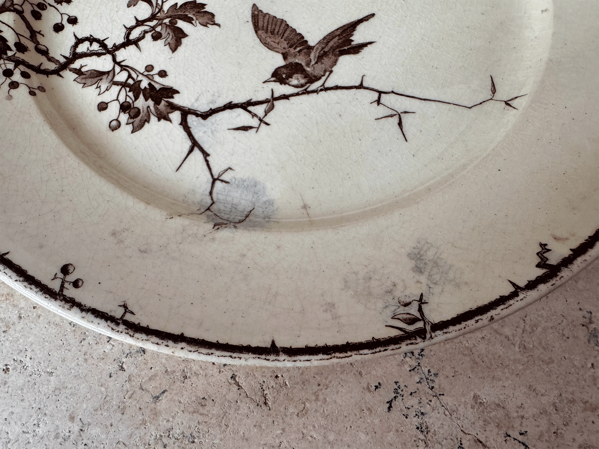 antique french ironstone terre de fer sepia transferware plate birds