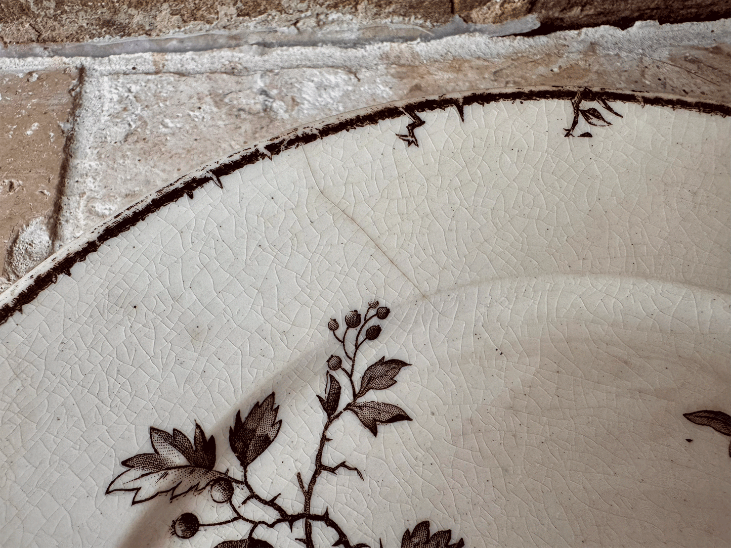 antique french ironstone terre de fer sepia transferware plate birds