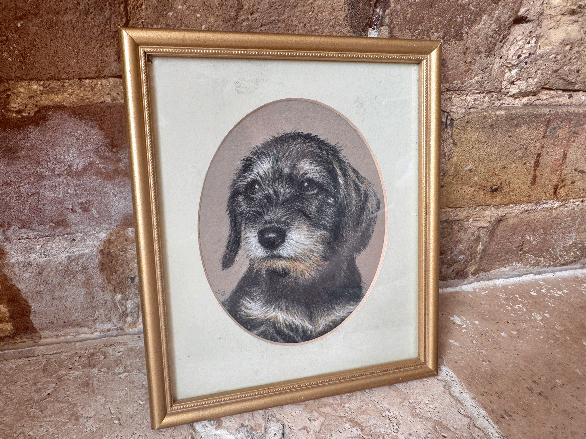vintage english signed framed pastel drawing rough haired dachschund susan geere