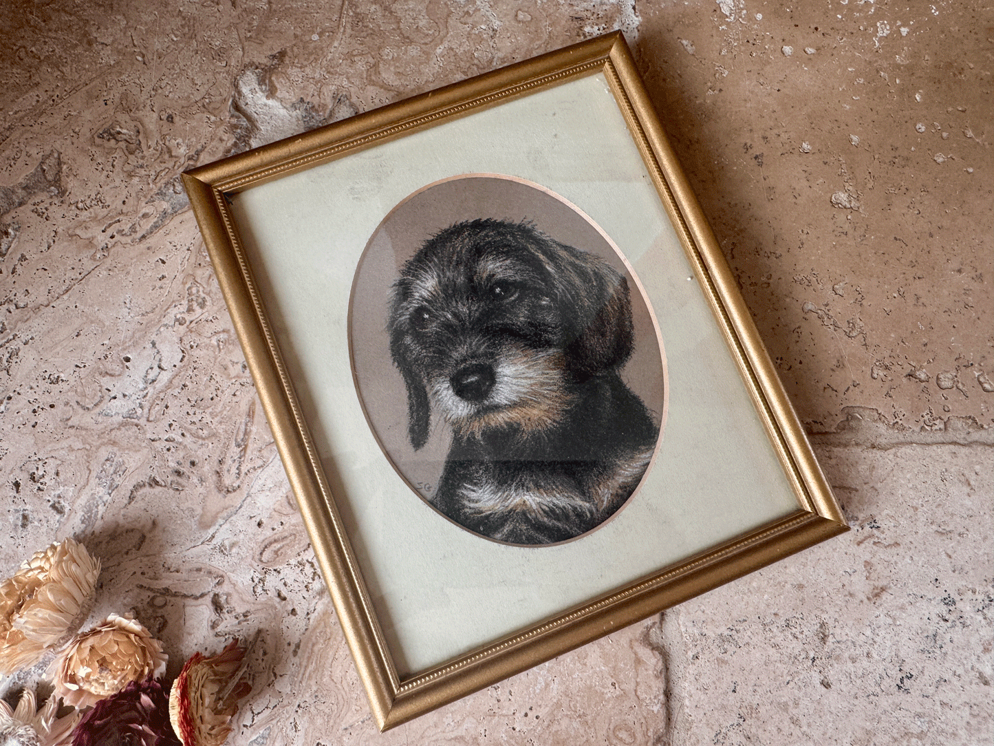 vintage english signed framed pastel drawing rough haired dachschund susan geere