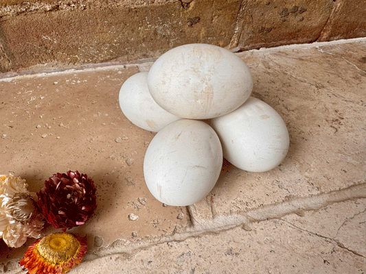 vintage antique english dummy broody laying egg stoneware hollow eltex