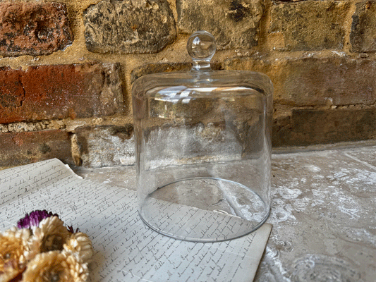 small vintage english glass cloche food cover