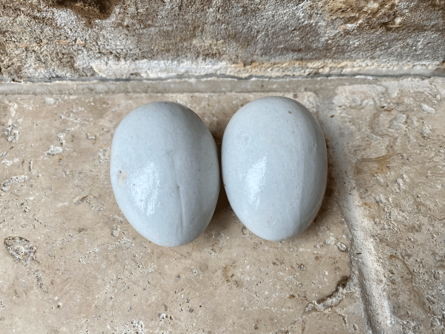 rare antique blue white ironstone dummy broody chicken laying egg